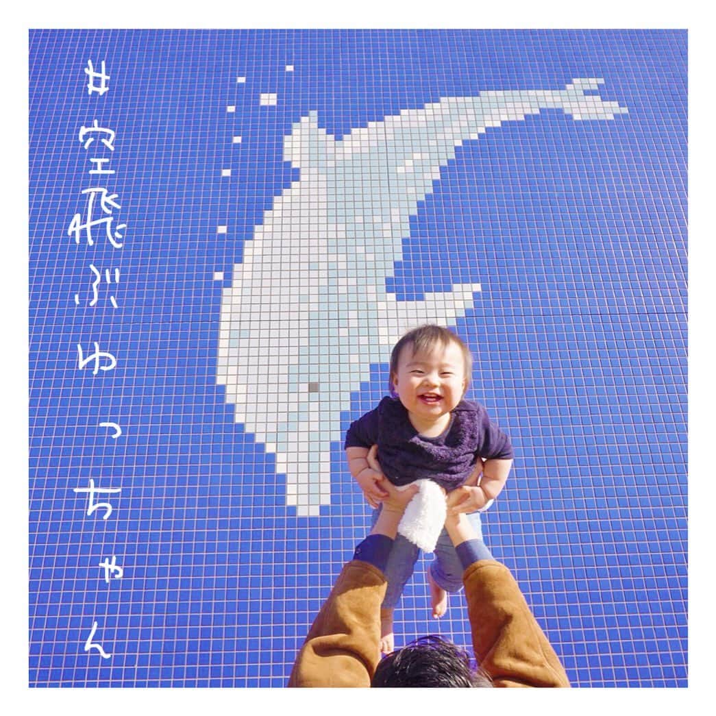 mamamizu.32のインスタグラム：「#空飛ぶゆっちゃん　シリーズ38﻿ ﻿ ﻿ ﻿ ﻿ ﻿ 空飛ぶゆっちゃん in 八景島シーパラダイス﻿ ﻿ ﻿ ﻿ ﻿ シリーズ40 くらいで完結かなぁ？？﻿ ﻿ ﻿ ﻿ ﻿ なんせ重いのなんの！！！！！🤣﻿ ﻿ ﻿ ﻿ ﻿ ﻿ ﻿ ﻿ ﻿  #ままべび#rainbでpowmamababy#スマイル育児#たまひよベストショット#親バカ部ig_baby#コノビー#ママカメラ#子育てぐらむ#ベビフル#コドモノ #fammカメラ部#ママリ#ママタス#ハピベビ#子育てぐらむ#uptoyoume#コドモノ代弁#イットママ#キズナ#コズレ#fammカメラ部#赤ちゃんのいる生活#赤ちゃんのいる暮らし#赤ちゃんとの暮らし#11ヶ月ベビー#東京ママ#ママ友募集#八景島シーパラダイス」