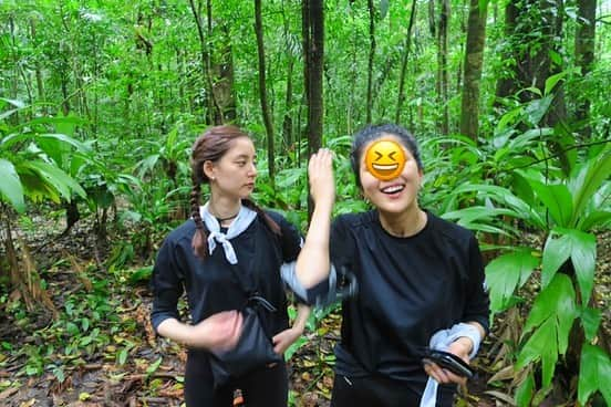 新木優子さんのインスタグラム写真 - (新木優子Instagram)「野生の動物達は目で見るのがメインになりすぎたのと、本当に一瞬しか見れなかったり夜出会った動物もたくさんいて写真が全然撮れなかった😭 どこにいるか分からない動物を探すのはとても大変だけど、すごくワクワクして楽しかった✨ 一番見れて嬉しかった動物はキツツキとバク☺️ バクは夜にレンジャーハウスの敷地に草を食べにきている所を見れました✨」1月12日 23時29分 - yuuuuukko_