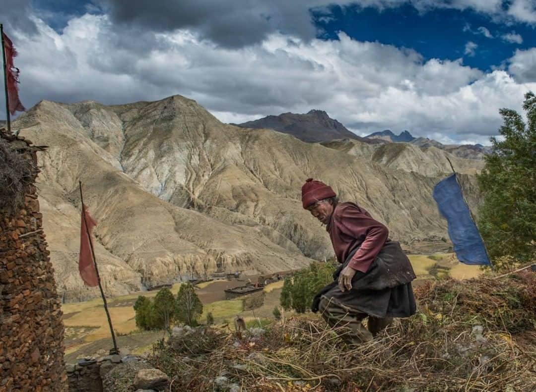 National Geographic Travelさんのインスタグラム写真 - (National Geographic TravelInstagram)「Photo by @bethjwald | A man stamps down freshly cut hay on the roof of a house in the village of Saldang in Dolpo, a remote and roadless region in western Nepal with strong ties to Tibet and Tibetan Buddhism.」1月13日 0時08分 - natgeotravel