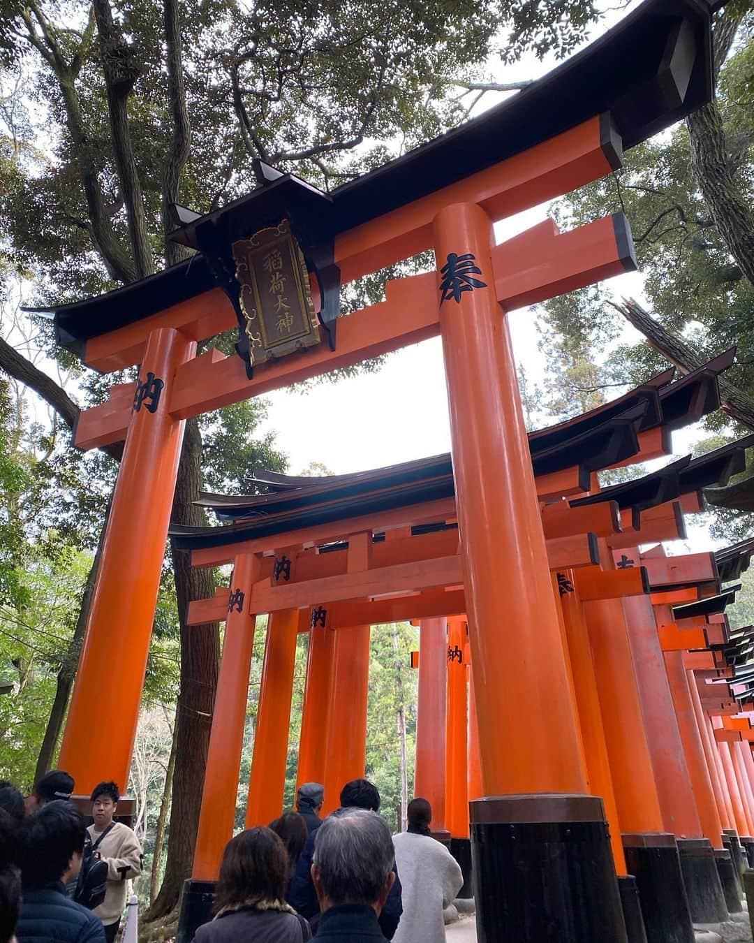 塩尻奈都子のインスタグラム：「⛩ . . 新年迎え、 毎年恒例 家族と早朝から 伏見稲荷へ . 空気が澄んでいて 気持ちよかった♡ . 京都に長期滞在すると 寂しくなるなぁ〜 . #伏見稲荷のあとは #甘酒 #加茂川へみんなでお散歩」