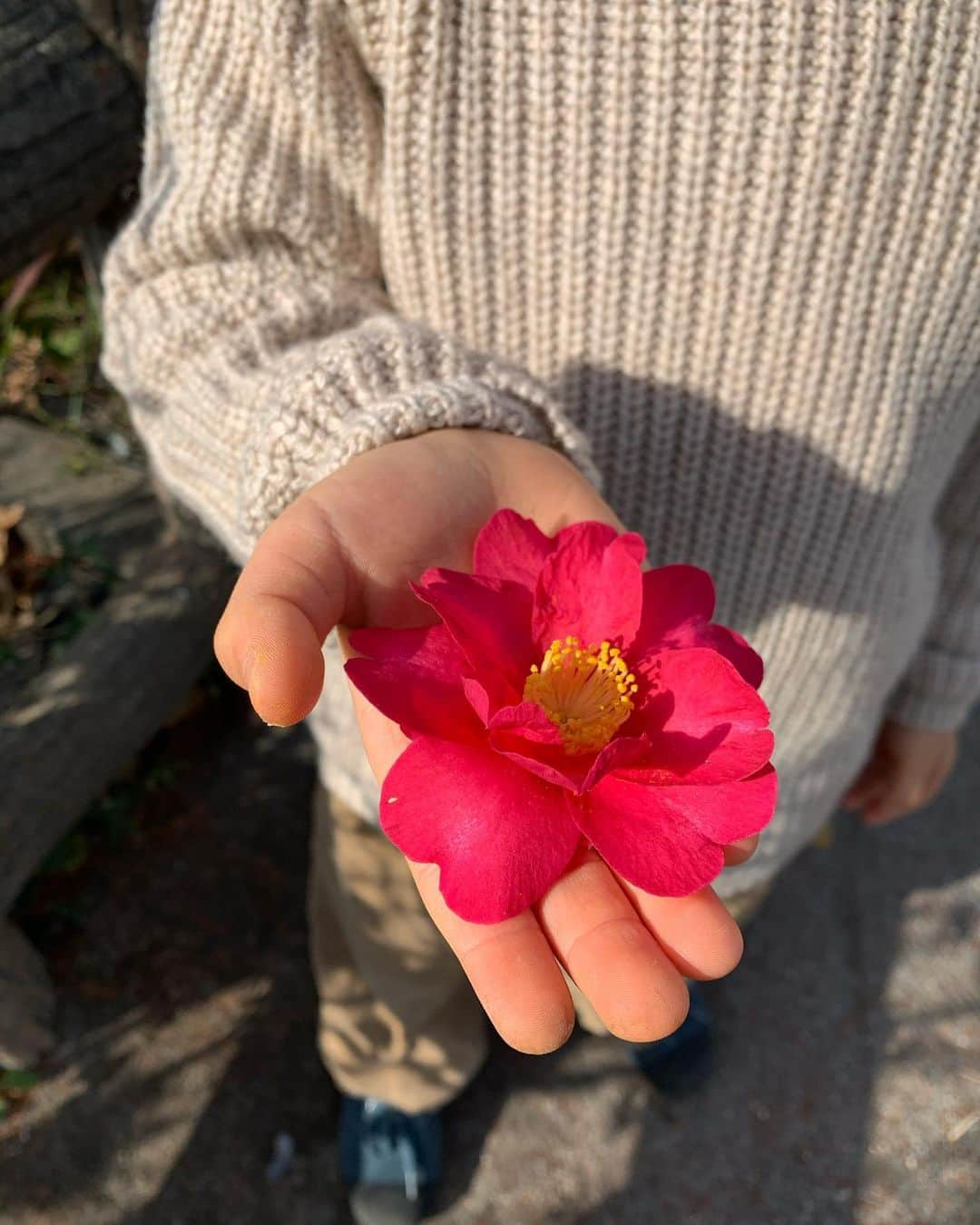 坂本美雨さんのインスタグラム写真 - (坂本美雨Instagram)「優しいねセコム🌺🌺🌺 #今日のセコム」1月13日 0時51分 - miu_sakamoto