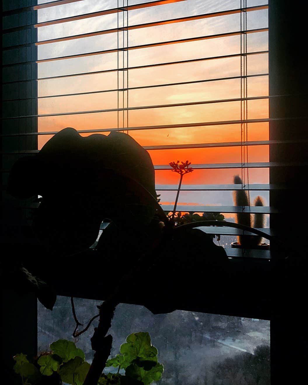 G-DRAGONのインスタグラム：「🌇」