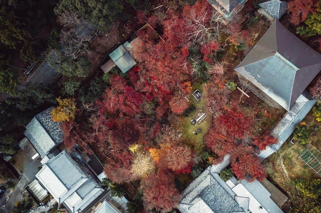 Sonoda COO Yukiyaさんのインスタグラム写真 - (Sonoda COO YukiyaInstagram)「Autumn colors in Kyoto:) #kyotophotographer  #tokyophotographer  #japanphotographer  #japan  #japantravel  #traveljapan  #kyoto  #kyototravel  #travelkyoto #tokyo  #tokyotravel  #traveltokyo #beautifuldestinations  #earth #earthpics」1月13日 14時01分 - coo_travelphoto