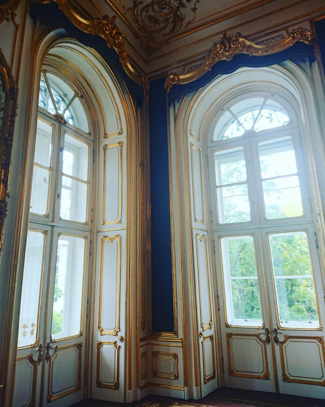 田中彩子さんのインスタグラム写真 - (田中彩子Instagram)「. #beautifulplace #palaiscoburg #wien . 今年初コンサートはチェロとアコーディオンとのトリオコンサート🇦🇹」1月13日 14時26分 - ayakotanaka_instaofficial