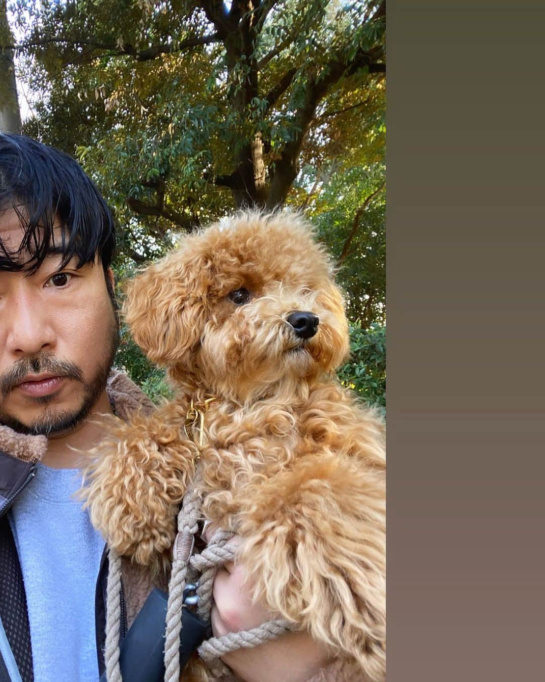 小塚源太のインスタグラム：「🦁it's your grooming day🦁 ワードローブに茶系のアイテムばかり増えていくのは 確実にこいつのせい #toypoodle #puppy #grooming」