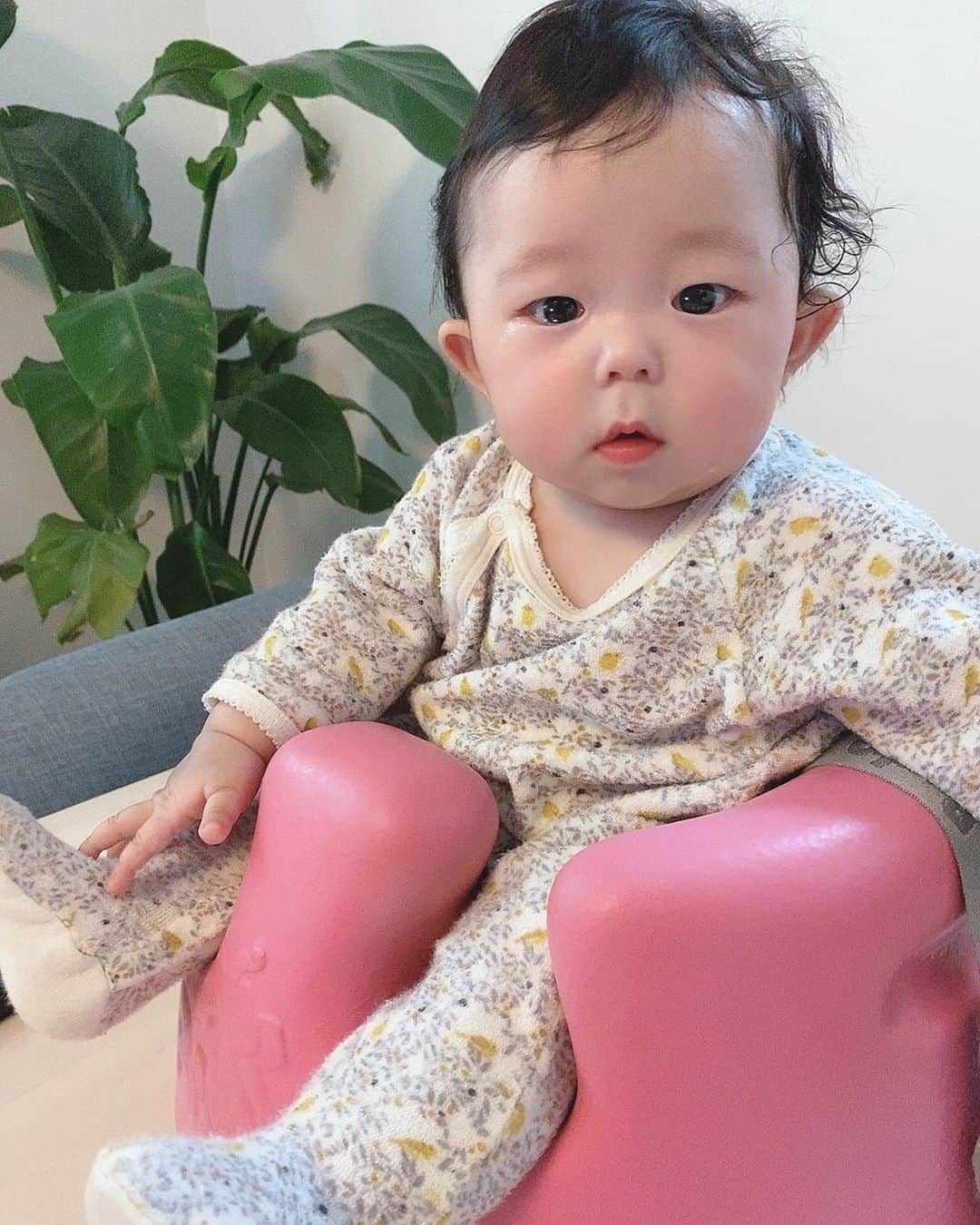 のインスタグラム：「はぁ琥珀ちゃんかわいい。。お気に入りショット🥺🥺🥺@_shiori_honda_」