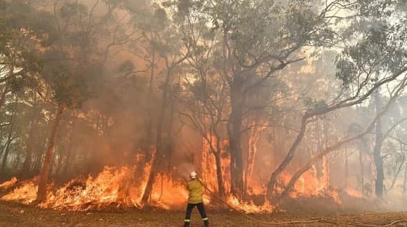チョン・イルさんのインスタグラム写真 - (チョン・イルInstagram)「“Small acts, when multiplied by millions of people, can transform the world.” - Howard Zinn  #prayforaustralia #bushfires #donate  Source: CNN」1月13日 6時53分 - jilwww
