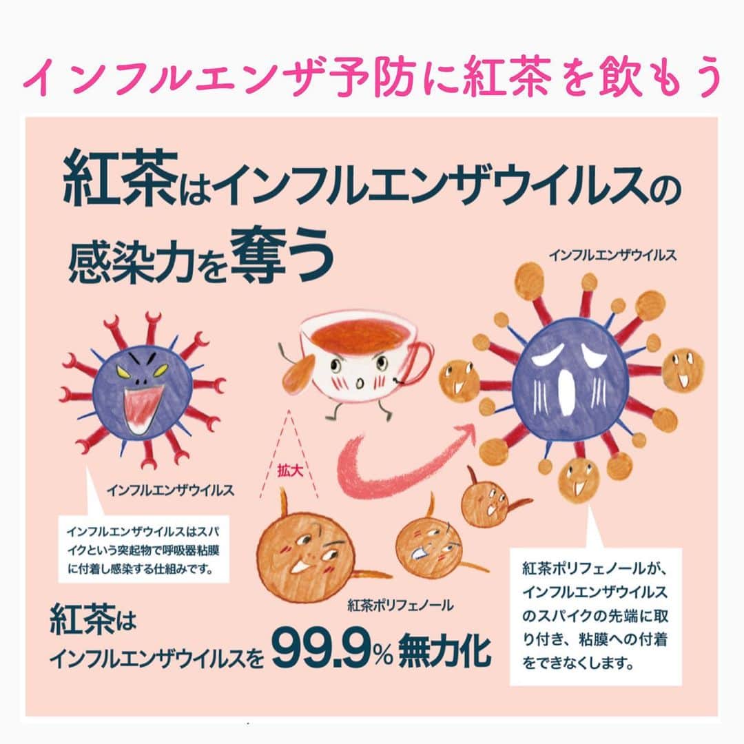 笑顔をリフォームする@健康小顔職人のインスタグラム：「． 紅茶を飲むだけでインフルエンザの感染が防げるっていいですね！ ． 気になる飲み方や紅茶の濃度は、通常飲む紅茶の濃度（茶葉2gに対し150-200ml程度）で十分だそうです。飲む量は1時間にお猪口一杯の量で十分！ ． その濃度であっても、インフルエンザウイルスをなんと10秒で無力化し、この速さは他の飲料に比べ驚異的なスピード！さらに、１０倍希釈でも効果が認められているので、美味しく飲んだ後の２煎目で「紅茶をうがい」をすることもおすすめだそうです。 ． ただし、少量のお砂糖や蜂蜜は大丈夫だそうです。レモンは抗ウィルス作用を助けてくれるらしいのですが、ミルクはタンパク質が紅茶ポリフェノールを取り込んでしまうそうなので感染力効果を奪い無効になるそうです。 ． ストレートでお猪口一杯ほど飲んでからミルクやお砂糖をお入れた方が間違いなさそうですね😊 ． ． 【訂正】お問合わせがありましたので一部内容を変更いたしました。 ． ．  幸せな笑顔が世界中に沢山溢れますように🌈✨ ． ． 💆🏻‍♀️心美体を整える「小顔整顔トリートメント」 👰ブライダル小顔🤰マタニティ小顔＆足リフレ ♨️代謝を上げる「Hot&Coldストーンリンパマッサージ」 ご予約はプロフ🔗→HP→予約サイトへ！ ． ． ✨気を整えて心と体を健康に！チャクラエネルギーセラピー ※Hペッパー等の予約サイトからは予約できません。ご予約は必ずホームページからお願いします(プロフ🔗) ． ． 💟あなたも小顔職人になれる👍 小顔職人養成スクール！スクール生募集中！詳細・お申込はプロフ→HP→小顔養成スクールへ！ ． ． 🍀小顔職人が作ったリフトアップクリーム&ボタニカルオイルを紹介！更に小顔や美容を解説！ @happy_cosme_kogaoshokunin ． ． #インフルエンザ #インフルエンザ感染予防 #健康 #紅茶 #幸せはいつも自分が連れてくる #笑顔は世界を明るくする #皆んなでハッピーになろう #自分を愛そう #世界が愛で溢れますように #自然治癒力は素晴らしい  #健康な小顔になろう #体温を上げて代謝を上げよう #心身共に整ってこそ美容 #笑顔をリフォームする小顔職人 #いつもご覧頂きありがとうございます ．」