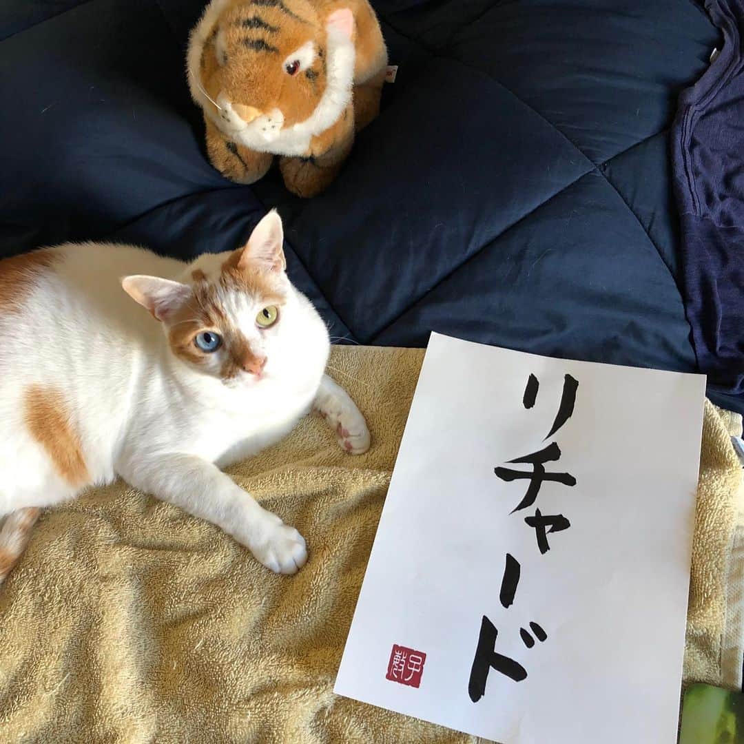 Richard Kittyさんのインスタグラム写真 - (Richard KittyInstagram)「“Richard” written in Japanese calligraphy 🇯🇵」1月13日 7時47分 - richard_kitty