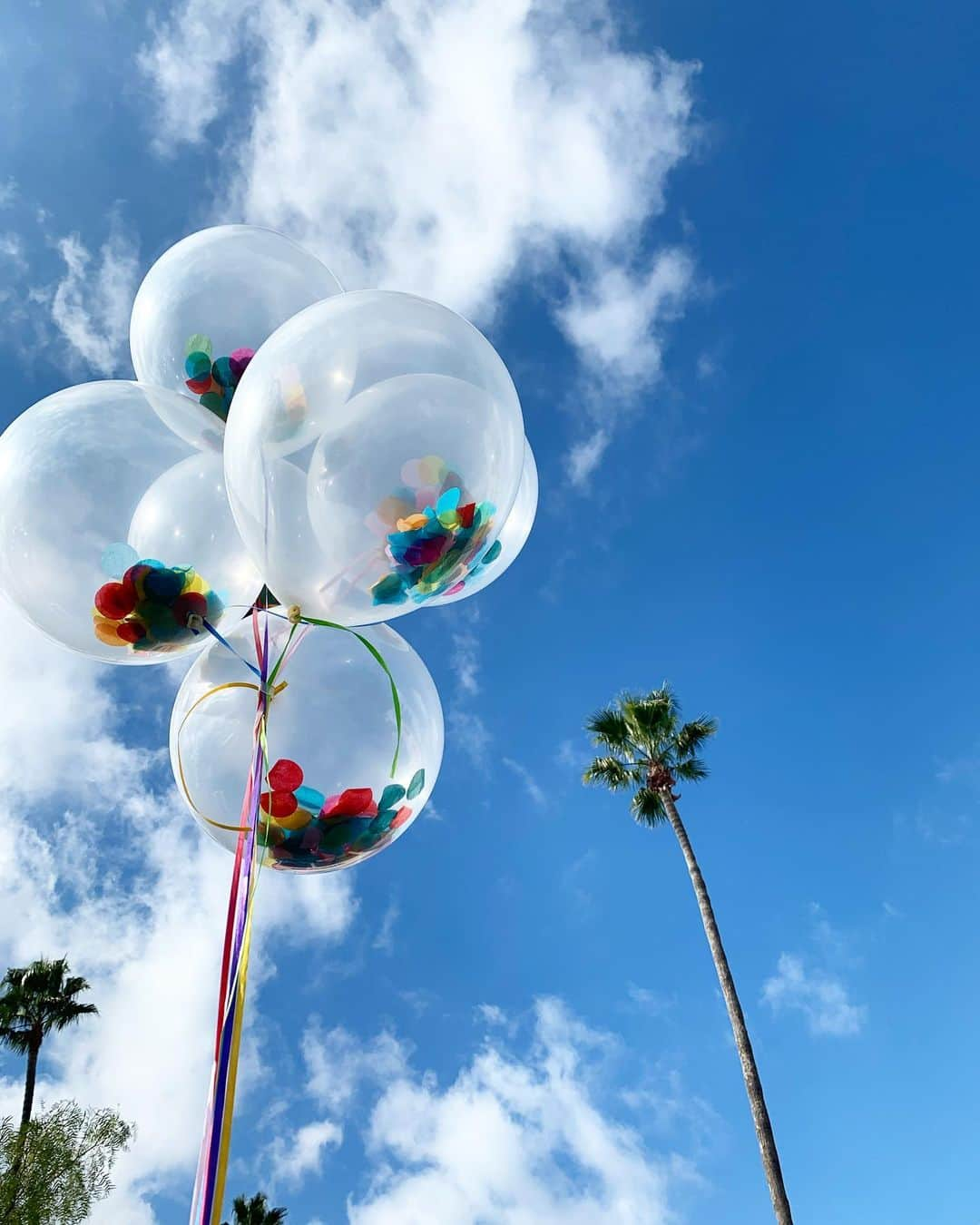 高木りなさんのインスタグラム写真 - (高木りなInstagram)「青い空とパームツリー💙🌴 これだけでhappyな気分になる。 #bluesky #palmtrees #california #cali #losangeles #happy #ロサンゼルス#カリフォルニア#로스앤젤레스#캘리포니아」1月13日 7時57分 - rinasvoyage