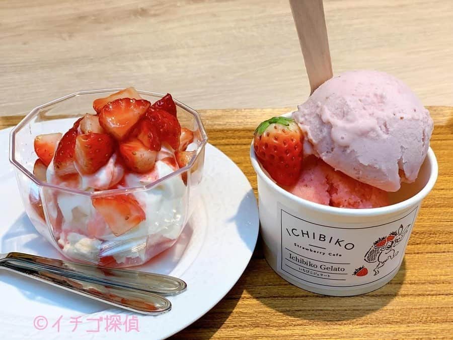 のインスタグラム：「🍓いちごテロ🍓﻿ ﻿ 「いちびこ」﻿ 南町田グランベリーパーク店限定！﻿ ﻿ 🍓いちごのイートンメス﻿ 🍓ミガキイチゴのジェラート﻿ ﻿ お店のコンセプトは“都会のいちご畑でいちご狩り”﻿ ﻿ 詳しい実食レポートは↓﻿ http://ichigo-tantei.com/ichibiko/ ﻿ ﻿ ﻿ 𓃚𓂃𓂃﻿ #いちご #苺 #イチゴ #いちごテロ ﻿ #いちびこ　#いちびこ南町田グランベリーパーク店﻿ #飯テロ #いちごのイートンメス﻿ #イートンメス　#ジェラート﻿ #ミガキイチゴ　#ミガキイチゴのジェラート﻿ #いちごあつめ #ジェラート﻿ #南町田グランベリーパーク　#いちごサンド﻿ #いちごライター #ミガキイチゴ60 #いちごミルク﻿ #いちごジェニック #スイーツ #딸기﻿ #いちご集め #🍓 #いちごマニア　﻿ #いちびこミルク #イチゴ探偵﻿ #アイスクリーム　#🍨　#straw berry」