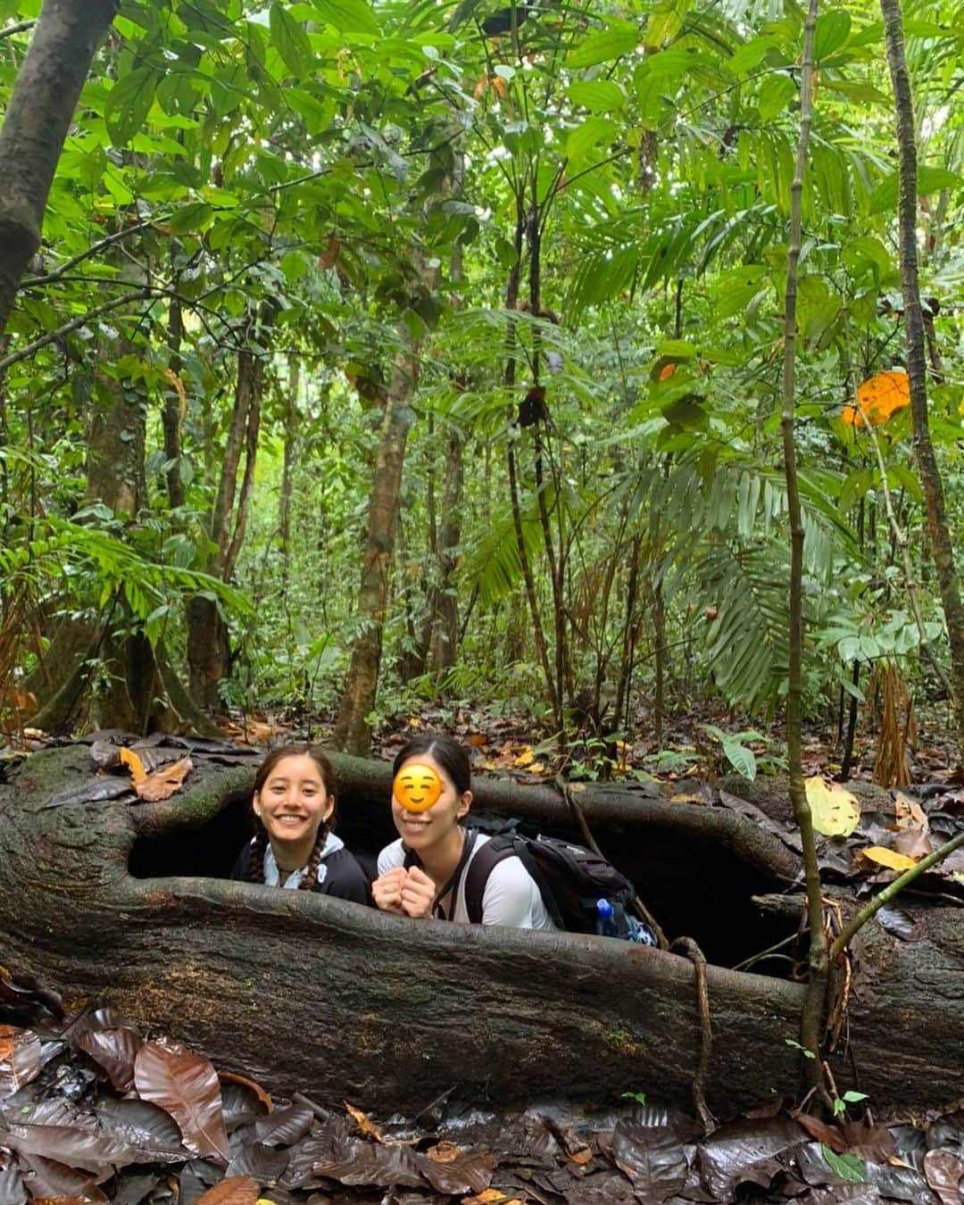 新木優子さんのインスタグラム写真 - (新木優子Instagram)「木の幹に大きく穴が空いていてそこから入るとなんと木の中が空洞になっていて👀 なんとも不思議な世界が広がっていました、、、😳」1月13日 15時29分 - yuuuuukko_