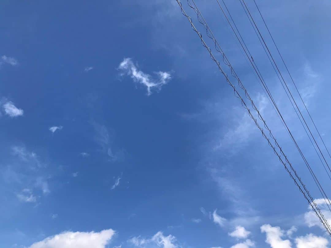 柏木作夢さんのインスタグラム写真 - (柏木作夢Instagram)「Good morning☀︎ #monday #holiday  #sky #blue #morning」1月13日 10時07分 - samukashiwagi