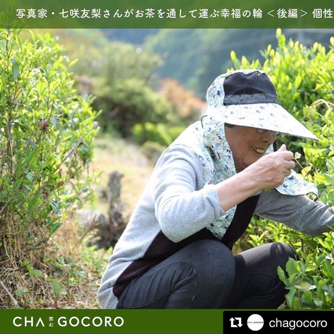 七咲友梨さんのインスタグラム写真 - (七咲友梨Instagram)「お茶のメディア『CHAGOCORO』さん。ソットチャッカの記事、後編が公開されました。 . お茶と人について発見した事なんかをお話しました。 . http://chagocoro.jp/article/detail.php?id=65 . 手の届くことから「そっと着火」🌿 . . #Repost @chagocoro with @get_repost ・・・ 【CHAGOCORO】 写真家・七咲友梨さんがお茶を通して運ぶ幸福の輪＜後編＞  個性豊かな野草茶から見える人間模様 . . ---続きは、CHAGOCOROで https://www.chagocoro.jp/article/detail.php?id=65  プロフィールのリンクからどうぞ  #七咲友梨 #おすそ分け #sottochakka #ソットチャッカ #釜炒り茶 #野草茶 #自家製茶 #人とのコミュニケーション #心と身体 #ブレンドティー #Inspier  #CHAGOCORO #お茶活  #お茶のある暮らし #pauseandinspire #ocha」1月13日 10時25分 - nanasaki_yuri