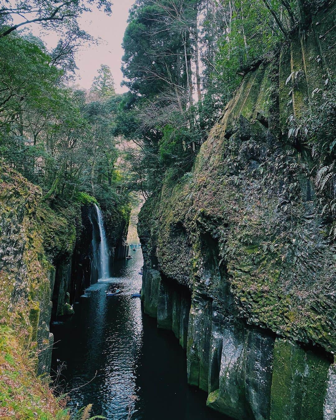 坂本朱里のグルメインスタ