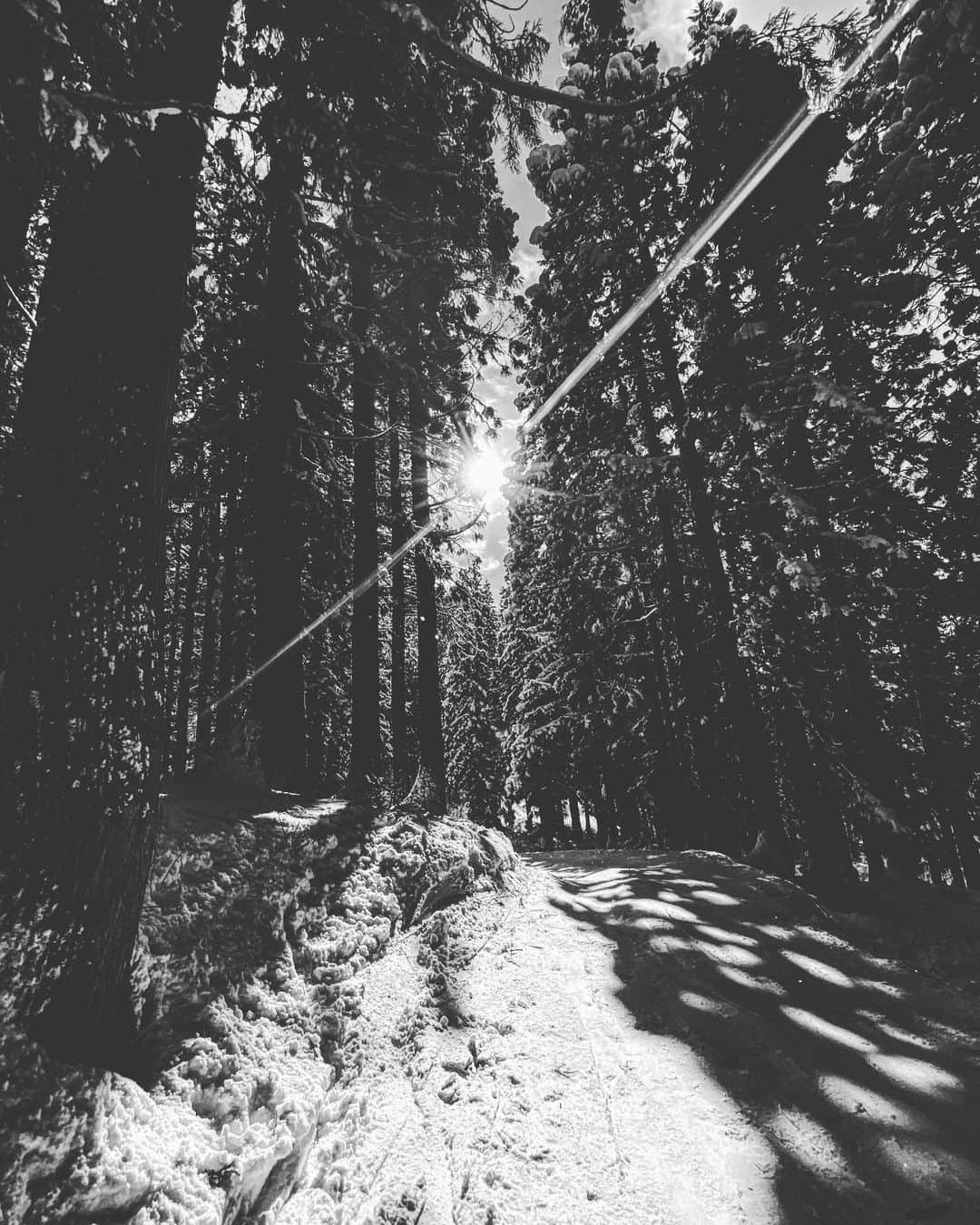 佐々木明さんのインスタグラム写真 - (佐々木明Instagram)「雪不足でも白くなってくれるだけで充分美しい 滑れなきゃ眺めるよ。」1月13日 12時15分 - akiraexploring