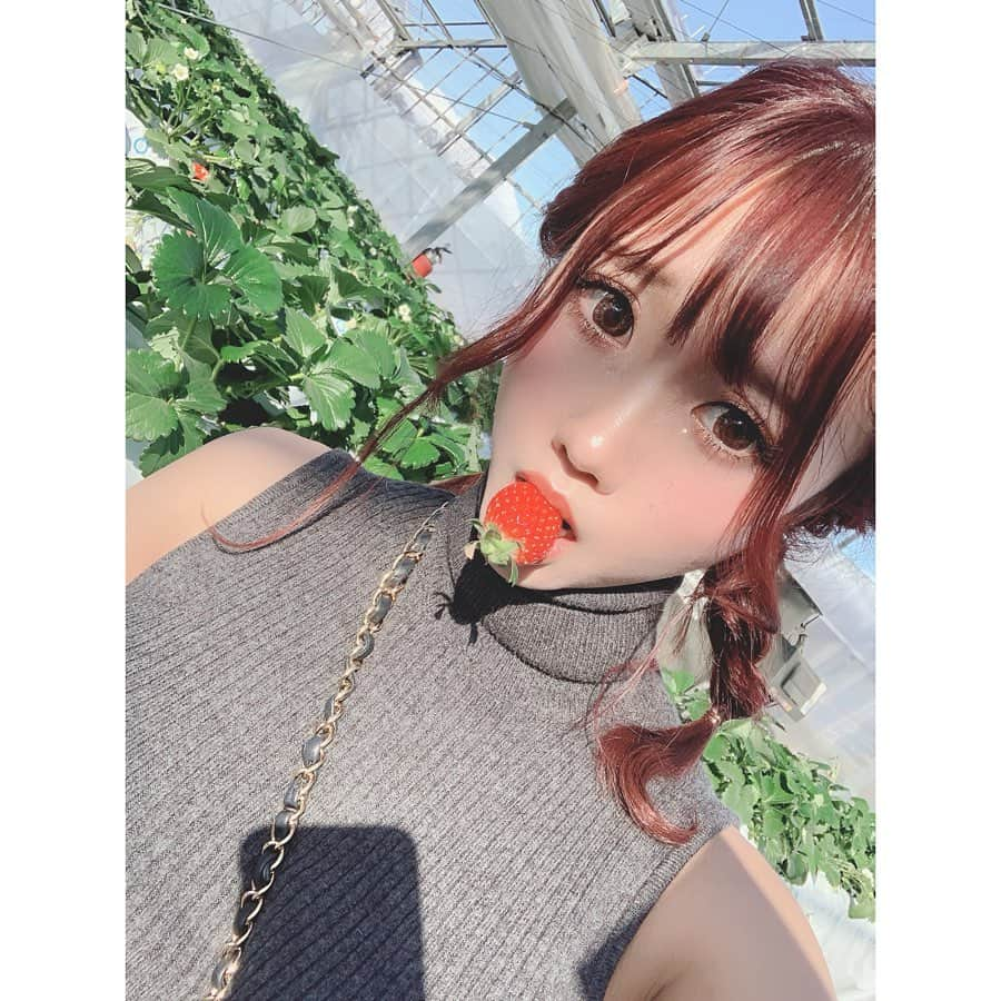 福田琴美さんのインスタグラム写真 - (福田琴美Instagram)「イチゴ狩りしたい🍓 今度どれだけ食べれるかチャレンジしよーっ(*´꒳`*)！ . . . #女優 #グラビア #グラドル  #グラドル自画撮り部 #撮影 #サロモ  #撮影モデル #水着女子 #えちえち #ビジョフォ  #girl #インスタグラビア #美女図鑑 #ビジョビ  #sexy #東京lily #水着ギャル  #撮影会 #水着 #沖縄  #lineライブ #イメージdvd #ハロウィン  #ライブ配信  #イメージビデオ #オーディション  #イチゴ狩り #いちご」1月13日 12時26分 - kotomi_fukuda