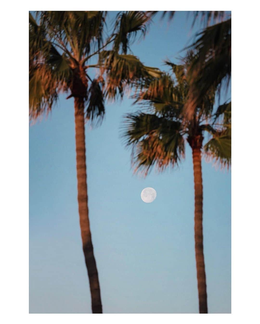 Pete Halvorsenのインスタグラム：「🌴🌕🌴 . just so I can finish the “moon row” on my grid. ¯\_(🌝)_/¯ . Leica SL」