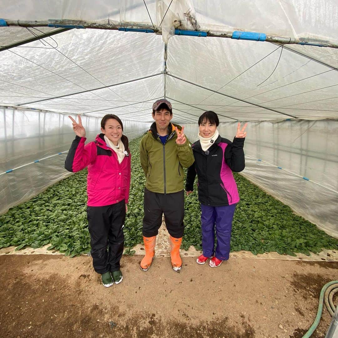 北海道放送「今日ドキッ!」のインスタグラム