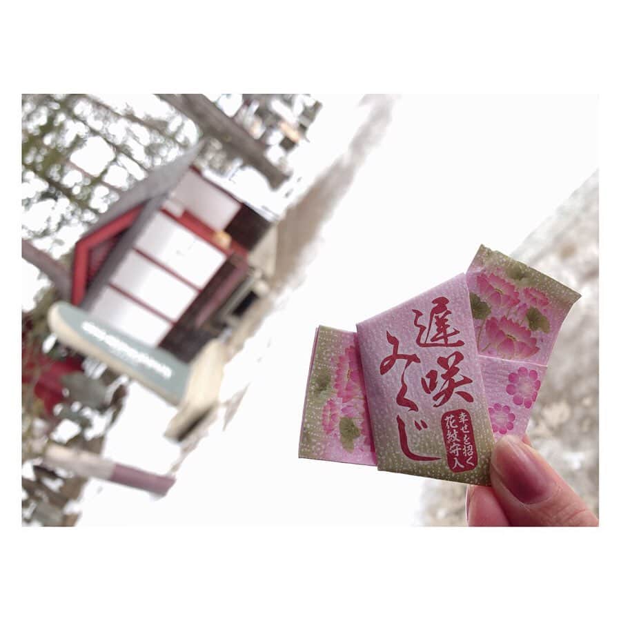 柳野玲子のインスタグラム：「今年は２回おみくじひきましたがどちらも大吉でした🤗💞 メッセージは「生」 〝どんな逆境にあろうとも揺るがない自分だけの生き方を…〟 一度きりの人生、自分で選んだ人生に責任を持って、今年も大切な人達と貴重な時間を大事に使いたいと思います☺️💞 #おみくじ #大吉」