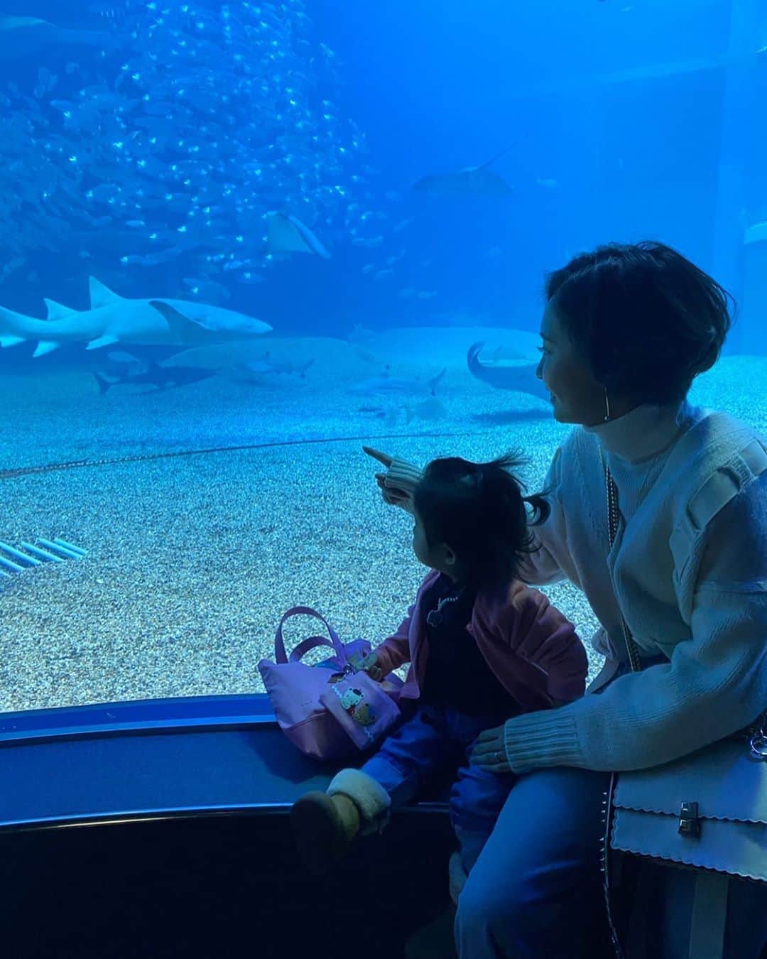 のインスタグラム：「連休最後の日は杏梨と海遊館へ❣️ ペンギンさんが好きみたいできゃぴきゃぴしてた🥰 大きくなって理解できるようになってきたし、 たくさん色んなところ行こうね❤️✨」