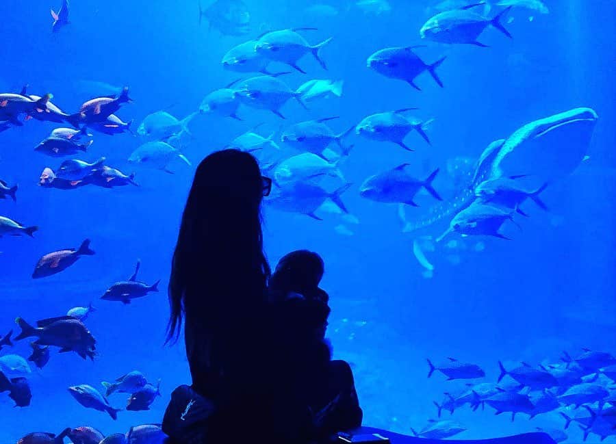 中尾みほのグルメインスタ