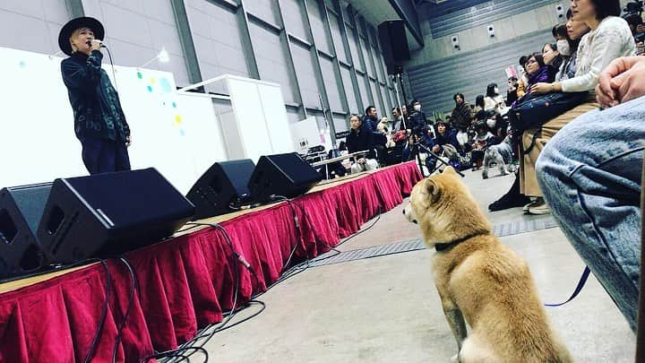 山田義孝さんのインスタグラム写真 - (山田義孝Instagram)「🐕🐕🐕🐕 ペット博2020横浜 素敵な思い出がまた一つ増えた。 3日間ありがとうございました😊 ＃松本秀樹さん3日間無茶振りすみませんでした #是非松本さんのYouTubeのチャンネル登録を」1月13日 23時39分 - yamadayositaka