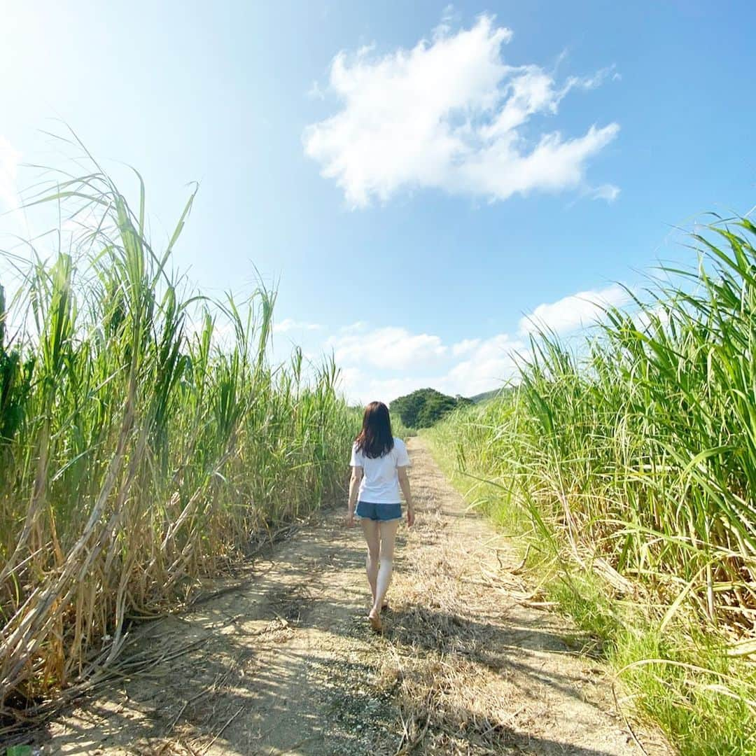 アレルギーナビゲーター 細川真奈 ❤のインスタグラム