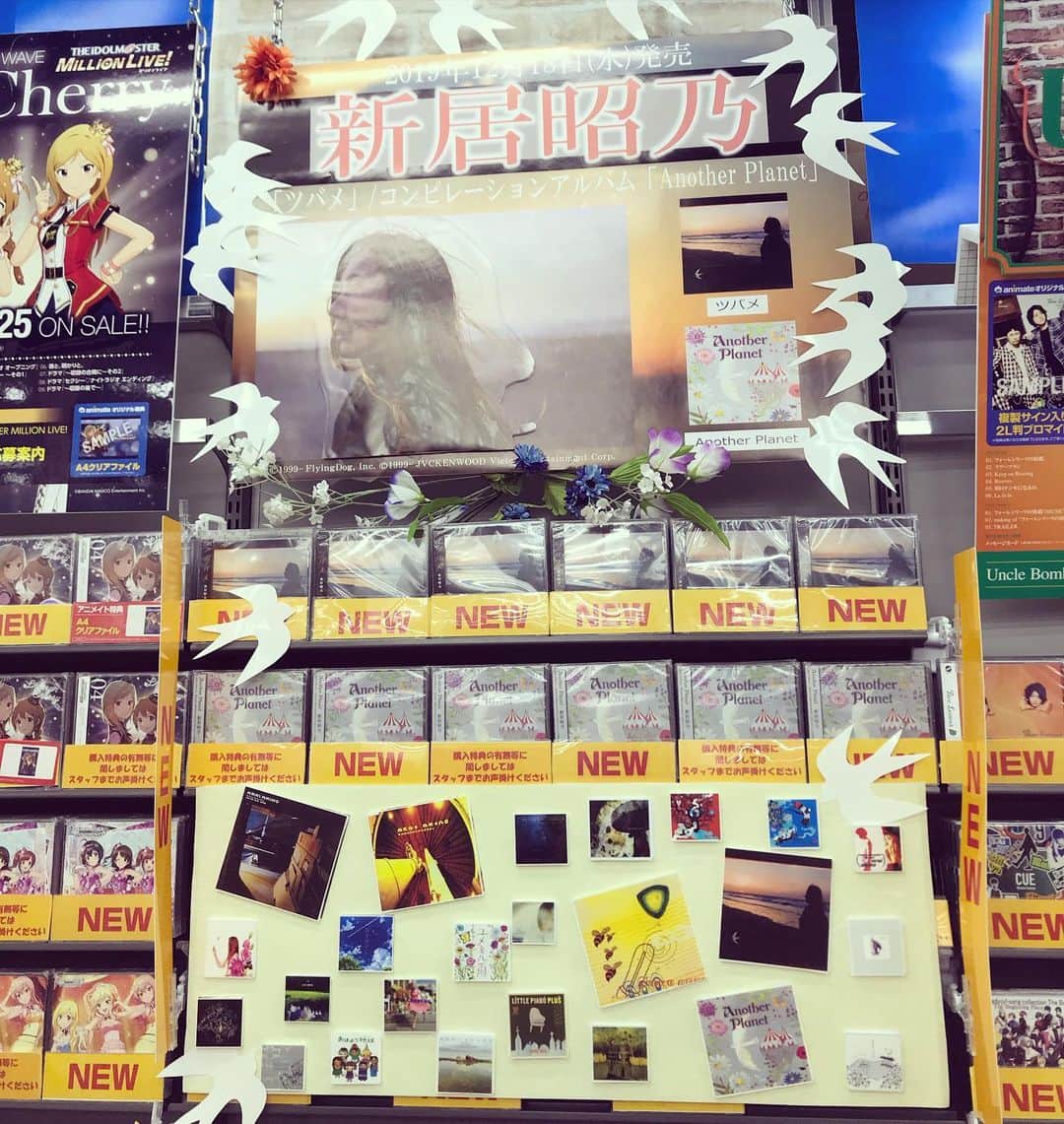のインスタグラム：「アニメイト新宿店さんにご挨拶してきました。ツバメがディスプレイの周りを飛んでいたり、今までのアルバム、シングルのジャケットを並べていてくださったり、丁寧に飾ってくださっていて感激しました！ありがとうございます✨✨」