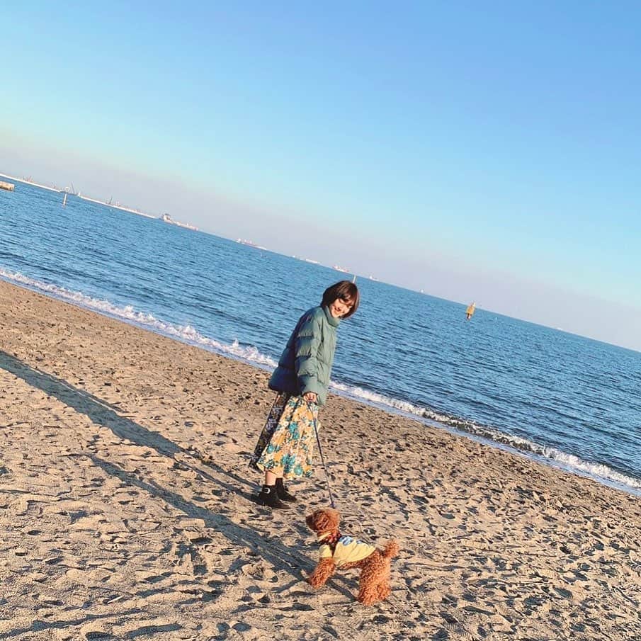 amiさんのインスタグラム写真 - (amiInstagram)「海辺をお散歩🐶🌊 #dog #jewel」1月13日 16時39分 - amidesudoumo