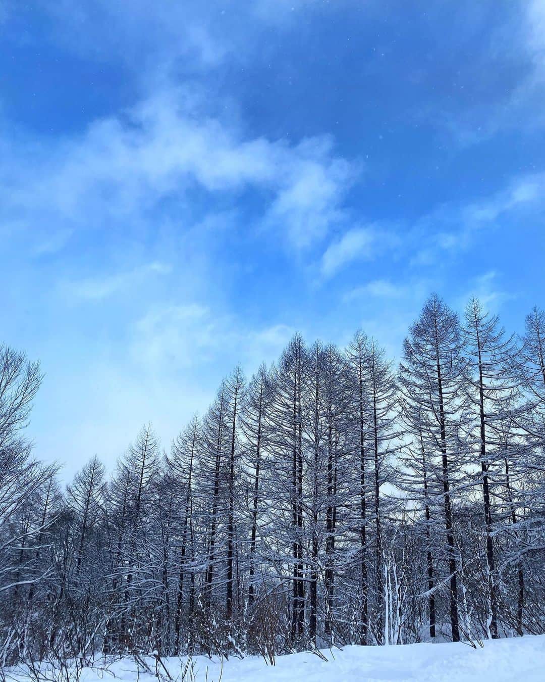 高木琢也さんのインスタグラム写真 - (高木琢也Instagram)「OFF😆☃️🏂❄️ #雪たまに晴れ #snowboarding」1月13日 16時52分 - takagi_ocean