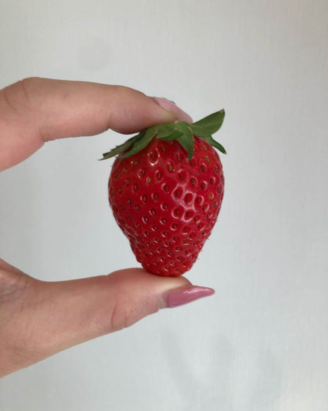 入江綾乃のインスタグラム：「. . . . 『いちご』 . . . #いちご #strawberry #フルーツ #fruits #followme #写真好きな人と繋がりたい #photography #photo #ポートレート#写真 #doll #dolly #dolls #被写体 #カメラ #camera #カメラ女子 #撮影 #撮影モデル #カメラマン #かわいくなりたい #声優 #プロレスラー #アクトレスガールズ #プロレス #AWGカラーズ #スポーツ女子」