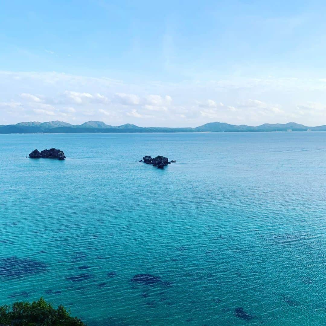 桜花由美さんのインスタグラム写真 - (桜花由美Instagram)「沖縄の海ー！  綺麗だー！  波の音聞いてるだけで、癒される。  #wavepro ‬ ‪#女子プロレスラー ‬ ‪#プロレス ‬ ‪#プロレスラー ‬ ‪#女子プロレス‬ ‪#prowrestling‬ ‪#プロレスリングwave‬ #波ヲタ全員集合  #桜花由美 #波ヲタ #ozアカデミー  #正危軍  #正危軍最高 #沖縄 #那覇 #名護  #名護市 #名護市屋内運動場 #海 #沖縄海」1月13日 17時33分 - ohkayumi