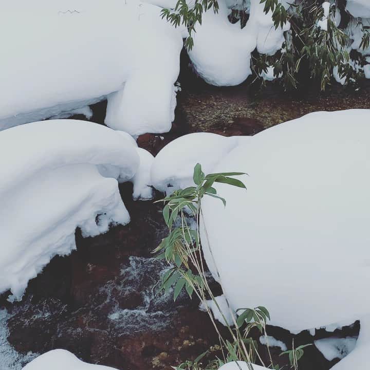 野口美佳のインスタグラム：「まんぞく🏂 #we#are #snowboarder」