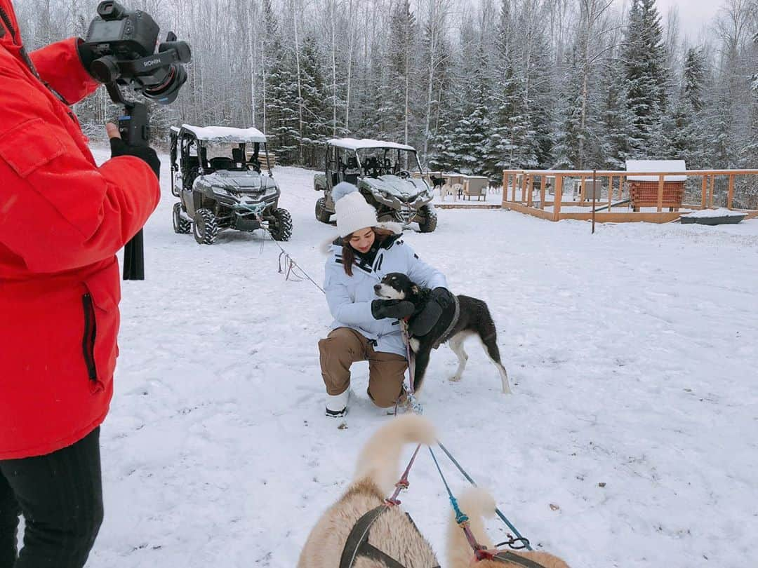 堀田茜さんのインスタグラム写真 - (堀田茜Instagram)「Alaska, Alaska!!!!!🐕🐕🐕 #anothersky」1月13日 18時14分 - akanehotta