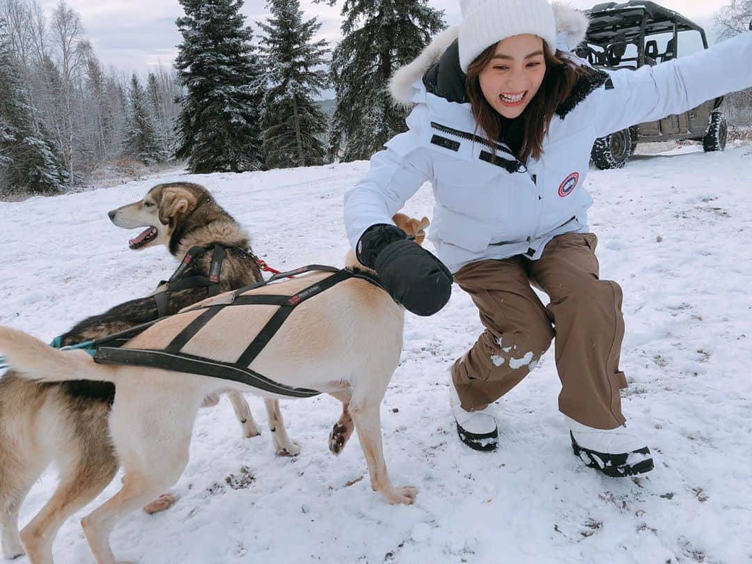 堀田茜さんのインスタグラム写真 - (堀田茜Instagram)「Alaska, Alaska!!!!!🐕🐕🐕 #anothersky」1月13日 18時14分 - akanehotta