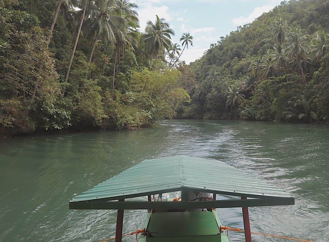 Remiさんのインスタグラム写真 - (RemiInstagram)「day trip from Cebu to Bohol island🚢🇵🇭 セブから日帰りtripで自然豊かなボホール島へ🌳⛰✨ 展望台から辺り一面小山が連なる「チョコレートヒルズ」の絶景を眺めたり、緑に囲まれたロボク川のリバークルーズではフィリピン料理を食べながら歌やダンスを楽しみました📷  #ボホール島 #チョコレートヒルズ #フィリピン #ロボク川 #リバークルーズ #子連れ旅 #三世代旅 #bohol #boholisland #chocolatehills #lobocriver #rivercruise #cebu #philippines #lovetabi #lovetabimama」1月13日 18時23分 - remi_912