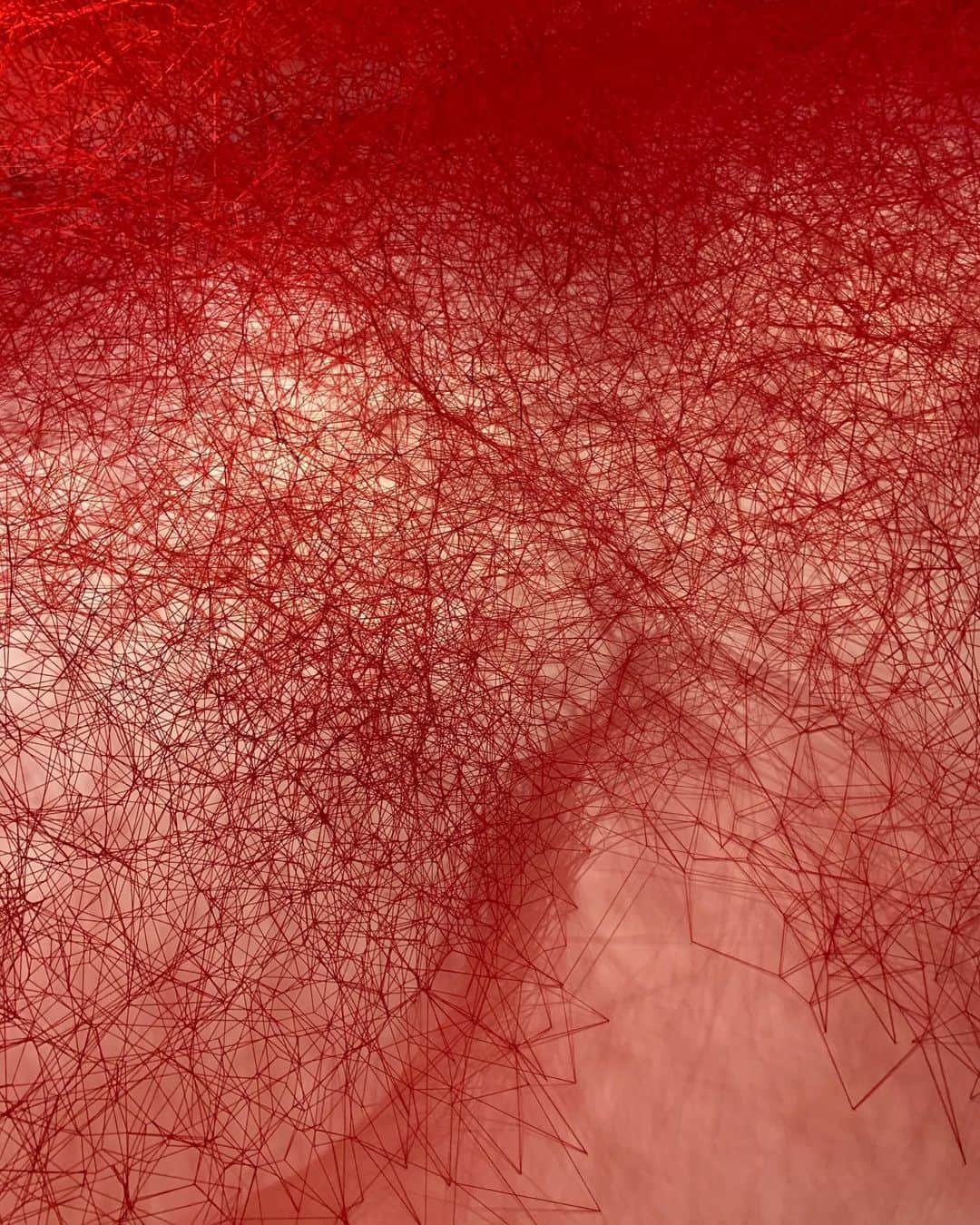 平野綾さんのインスタグラム写真 - (平野綾Instagram)「塩田千春展　魂がふるえる﻿ ﻿ ストーリーにしかUPしていませんでした💦﻿ こういうこと多いヽ(´o｀；﻿ ﻿ ﻿ 全てのものに境界線があって、﻿ 無意識にその中で生きようとしたり、﻿ その中でしか生きられなかったり。﻿ それが色や空間で表されることによって初めて分かる、﻿ 繋がるテリトリーのような感覚でした。﻿ ﻿ 糸によってピンと張り詰めた緊張感があって、﻿ スッと背筋が伸びる気がしました。﻿ ﻿ 人気の展示だったのが頷ける内容。﻿ ギリギリ駆け込めて良かった。﻿ ﻿ ﻿ ﻿ #塩田千春展魂がふるえる﻿ #六本木ヒルズ森アーツセンターギャラリー﻿ #ayahirano #平野綾﻿」1月13日 18時36分 - a_ya.hirano