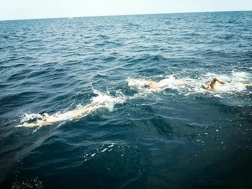 岡副麻希さんのインスタグラム写真 - (岡副麻希Instagram)「💐 こんばんは！﻿ 新成人の皆さま、おめでとうございます🕊💐💫﻿ ﻿ 今日は#成人の日 ということで﻿ #はたち のとき、何してたかなぁと、、﻿ こんなことをしていました！#遠泳﻿ （私がどこにいるかは２枚目へ笑）﻿ ﻿ 海を12キロ泳ぐ大会に出たり、﻿ アルバイトもプール指導バイトで﻿ とりあえず真っ黒になっていました👧🏽🐬🌼﻿ ﻿ ７年経って、がらりと環境が変わっても﻿ 家族、親友は変わらずに側にいてくれて﻿ 人ってあったかいなぁと思います🎄💓😌﻿ ﻿ 何が言いたいかよくわからなくなりましたが、﻿ 思いっきり、口角を上げて生きてください🌎💫﻿#😆 #にこにこ ﻿ #新成人のみなさん﻿ #おめでとうございます﻿」1月13日 20時45分 - maki_okazoe_official