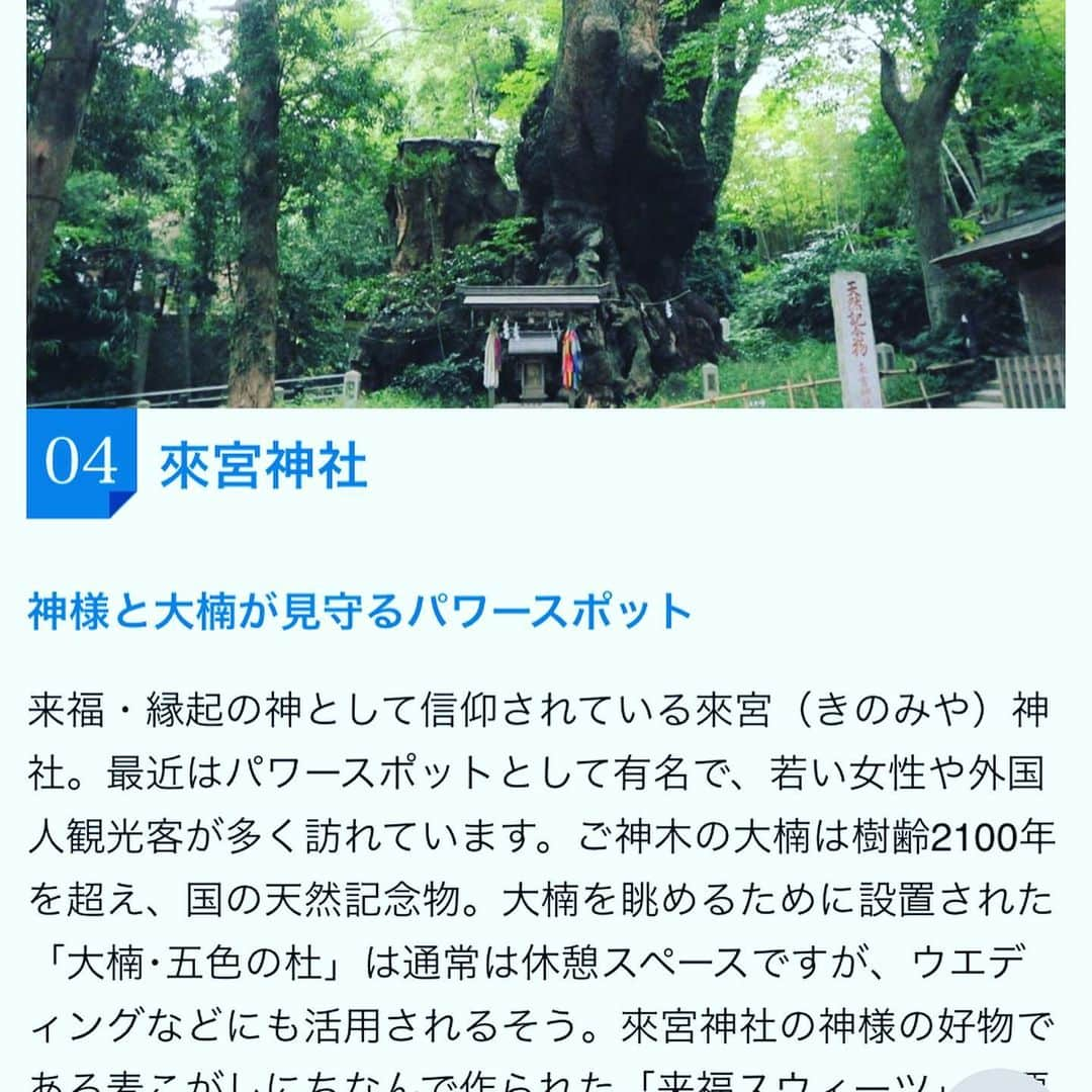 鈴木将平さんのインスタグラム写真 - (鈴木将平Instagram)「今日は自主トレオフ日だったので 新年らしく来宮神社にお参りしてきました🙇‍♂️ パワースポットと言われている天然記念物の御神木にお祈りしてきました！ 力を蓄えてまた明日から頑張ります👍 #下田自主トレ#熱海#来宮神社#パワー💪」1月13日 21時01分 - shohei_s46