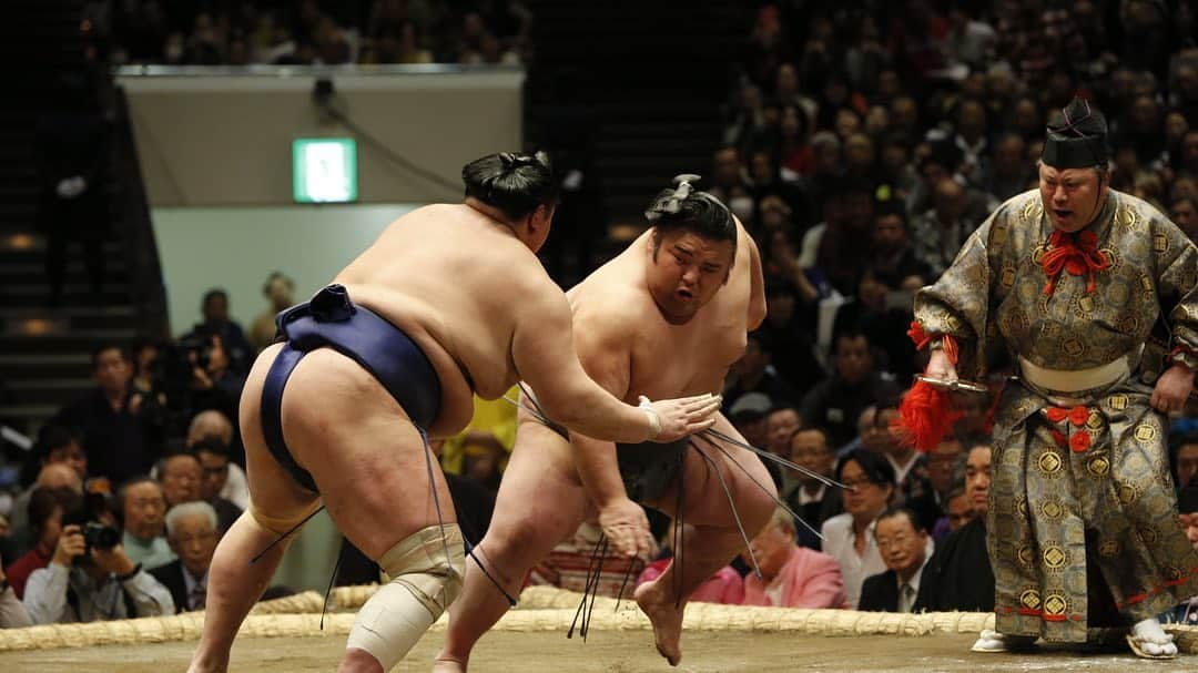 日本相撲協会さんのインスタグラム写真 - (日本相撲協会Instagram)「大相撲一月場所、2日目。﻿ 幕内後半の取組。 ﻿ ﻿ ＜二日目　この一番！＞﻿ 敢闘精神あふれる力士投票１位🥇は遠藤﻿ ﻿ 遠藤－白鵬﻿ ﻿ @sumokyokai #大相撲 #sumo #相撲  #初場所 #力士 #お相撲さん #国技館 #一月場所 #遠藤 #白鵬 #鶴竜 #貴景勝 #豪栄道 #朝乃山 #高安 #大栄翔 #炎鵬 #阿炎 #取組」1月13日 21時28分 - sumokyokai