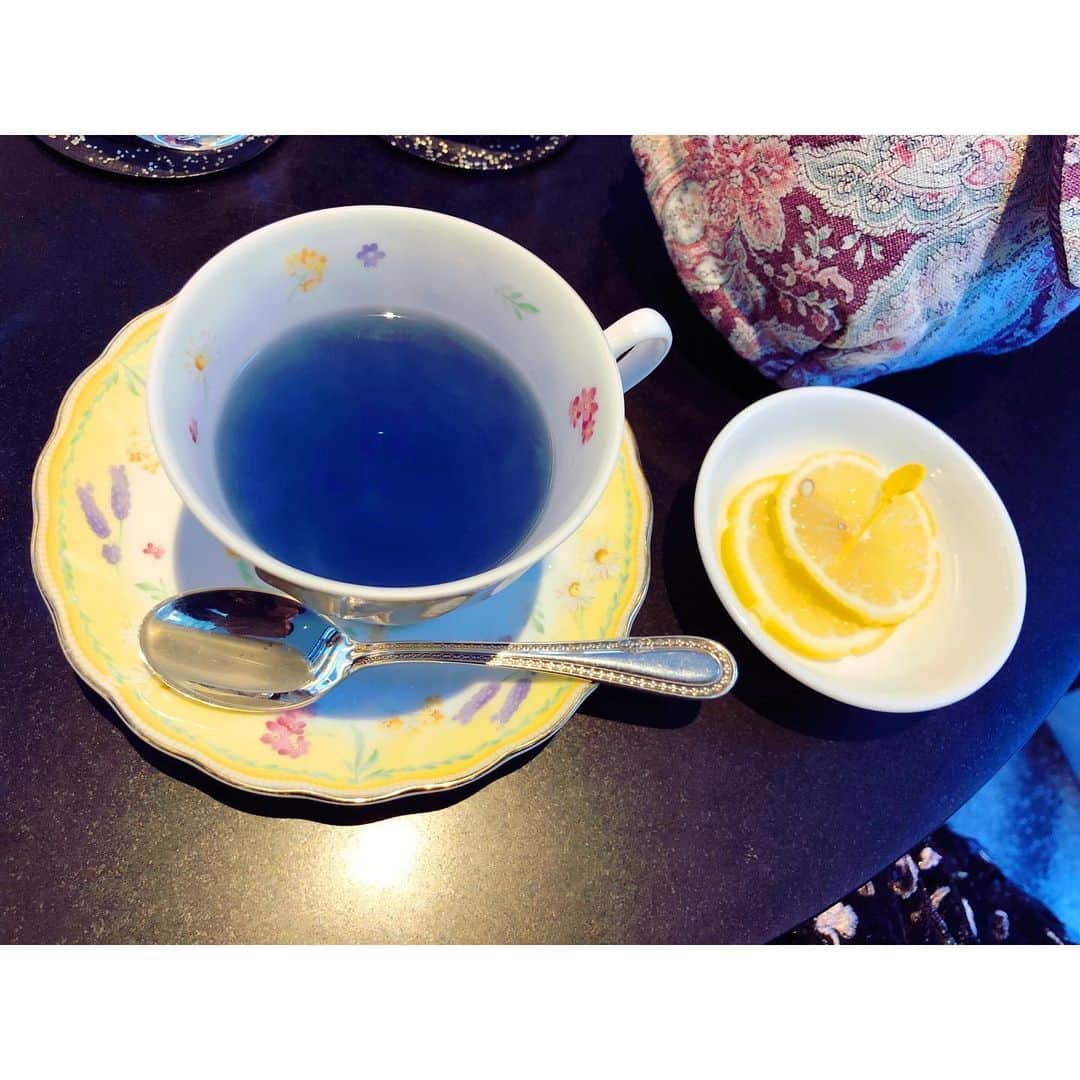 木南晴夏さんのインスタグラム写真 - (木南晴夏Instagram)「紅茶頼んだら 青かった！ レモン入れたら ムラサキになった！ 魔法だな。」1月13日 21時30分 - kinamitopan