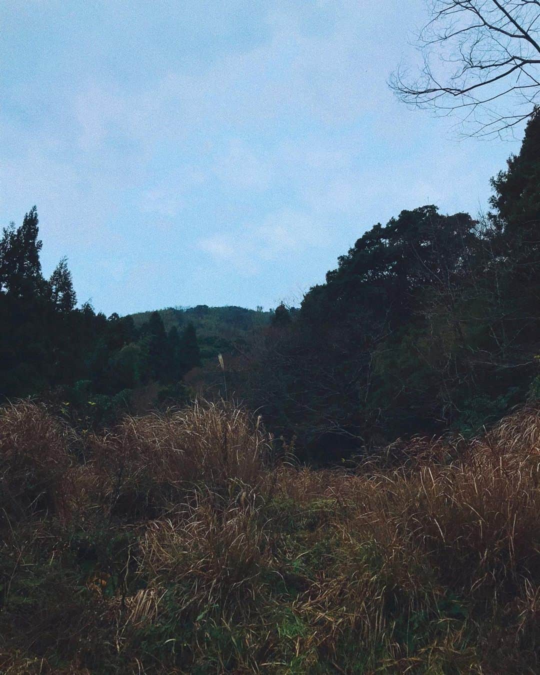 小林ようのインスタグラム：「ずっと行ってみたかった石見銀山。 .  #japantrip #solotravel #solotraveler #iwamiginzan #shimane #mabu #iphonefoto #worldheritage #石見銀山 #龍源寺間歩 #世界遺産 #一人旅 #一人旅女子 #島根 #小林の世界遺産探訪」