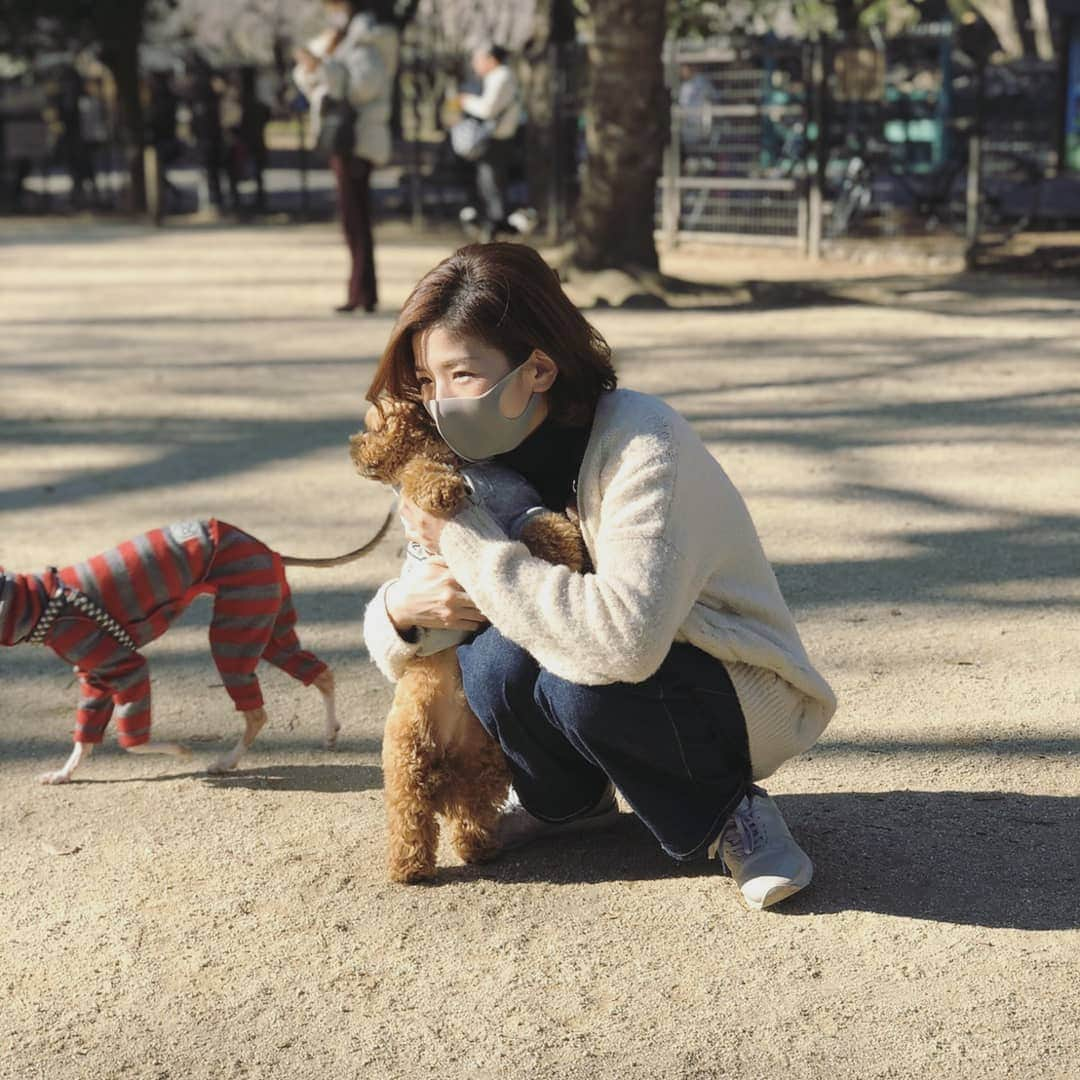 巴山萌菜さんのインスタグラム写真 - (巴山萌菜Instagram)「くるくん孝行🐶  #ペキプーのくるくん」1月13日 21時55分 - mona_tomoyama