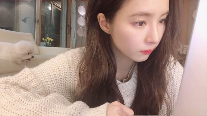 シン・セギョンのインスタグラム：「새 브이로그 업로드 되었습니다. 링크는 프로필에 있어요! link in bio🥰」