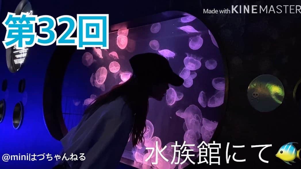 外薗葉月さんのインスタグラム写真 - (外薗葉月Instagram)「#miniはづちゃんねる #第32回　#YouTube #申請中　#水族館」1月13日 22時57分 - hazuki_hokazono