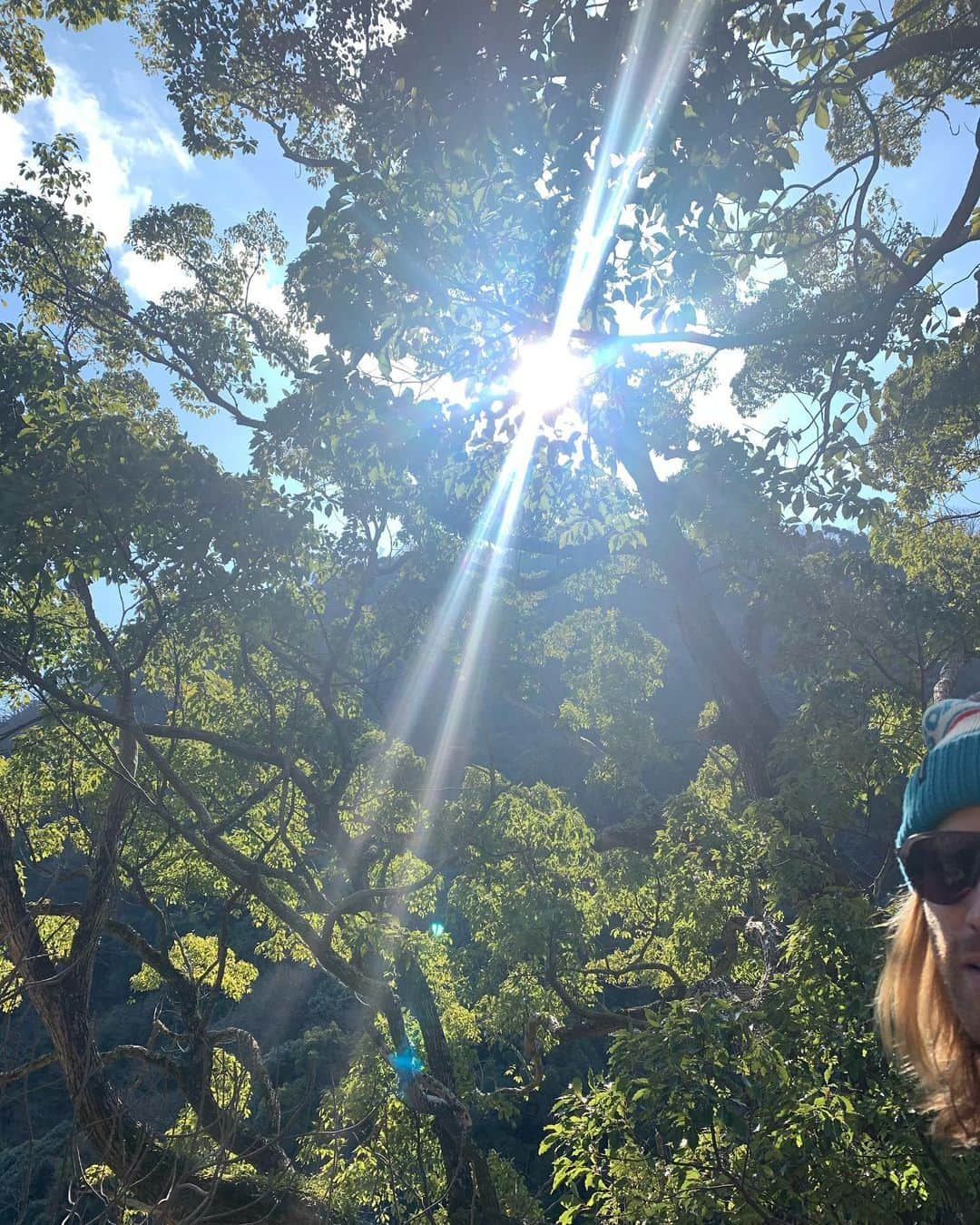 エルザ・ホスクさんのインスタグラム写真 - (エルザ・ホスクInstagram)「Got off the train in Kobe , hiked up a mountain, it was the best day ever. The happiest in nature! Japan is so beautiful❤️」1月14日 8時38分 - hoskelsa