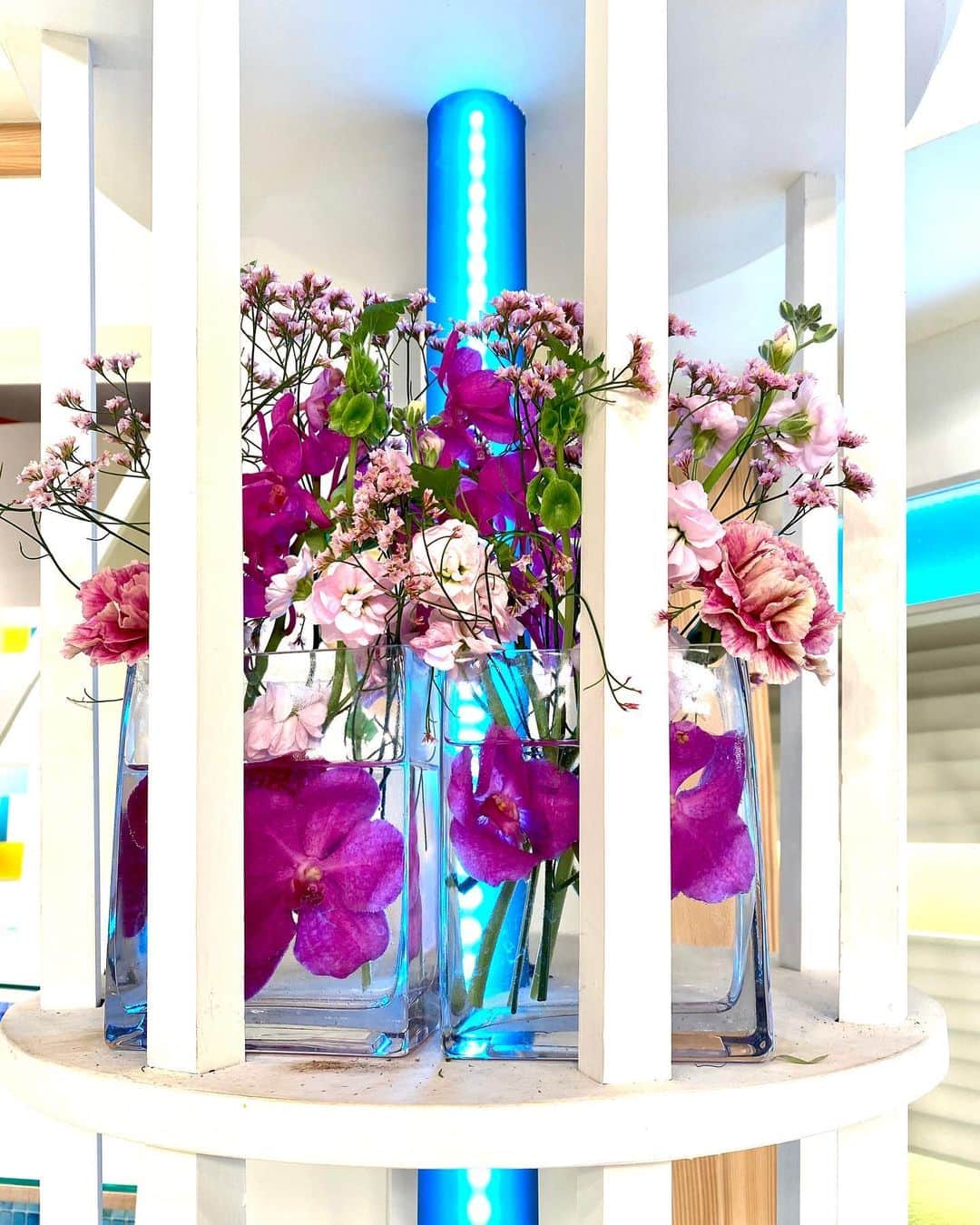 福岡放送「バリはやッ!」さんのインスタグラム写真 - (福岡放送「バリはやッ!」Instagram)「🌸1/13の週のスタジオ装花🌸 "外はまだまだ寒い季節が続きますが、春の陽気を思わせられるような温かな雰囲気を桃色のお花で制作致しました。桃色吐息です"  by #takeshithemangrove  #キイチゴ #スターチス #トルコキキョウ #モカラ #カーネーション #モルセラ #ピンポンマム  #花が好き #花が好きな人と繋がりたい #花を飾る #花は癒し #花のある暮らし #装花　#スタジオ装花　#フラワーアレンジメント #春の陽気　#1月の花　#春の花　#桃色吐息」1月14日 8時32分 - barihaya
