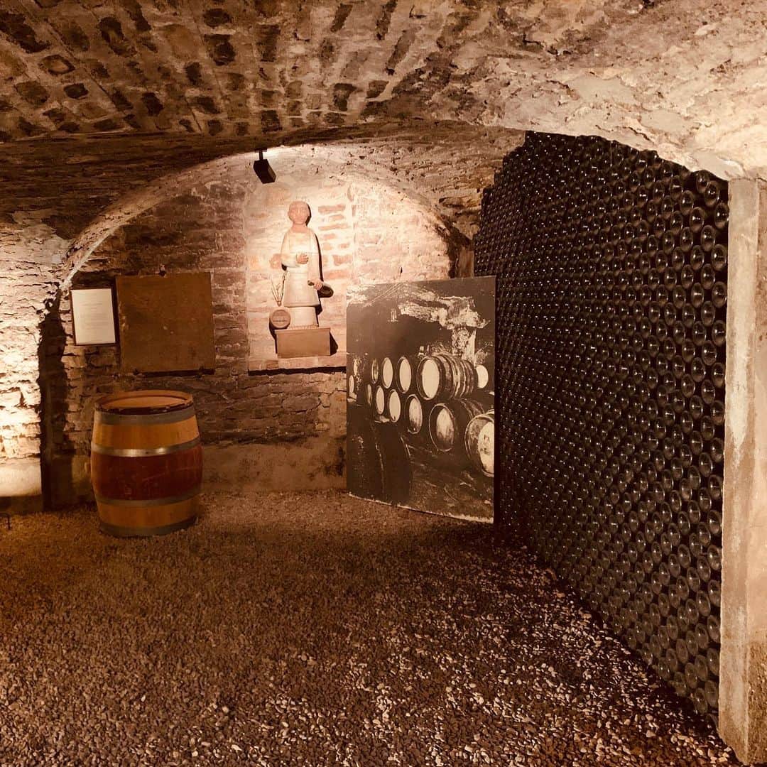 西内ひろさんのインスタグラム写真 - (西内ひろInstagram)「Today I went to Burgogne and studied wine🍾  今日はブルゴーニュ地方にてワイナリーツアーしてきました🍷 シャルドネ、ピノノワール、シャブリ、ボージョレー、ロマネコンティなどが作られている場所✨ いつも飲んでいるワインでも、その土地で頂くと風景も見えて味わい深くなります☺️勉強になりました🍇 #Bourgogne #win #tasting  #winery  #ブルゴーニュ地方　#ワイン　#ワイナリー　#フランスワイン #パリ　#西内ひろのオススメ旅」1月14日 8時44分 - 0214hiro