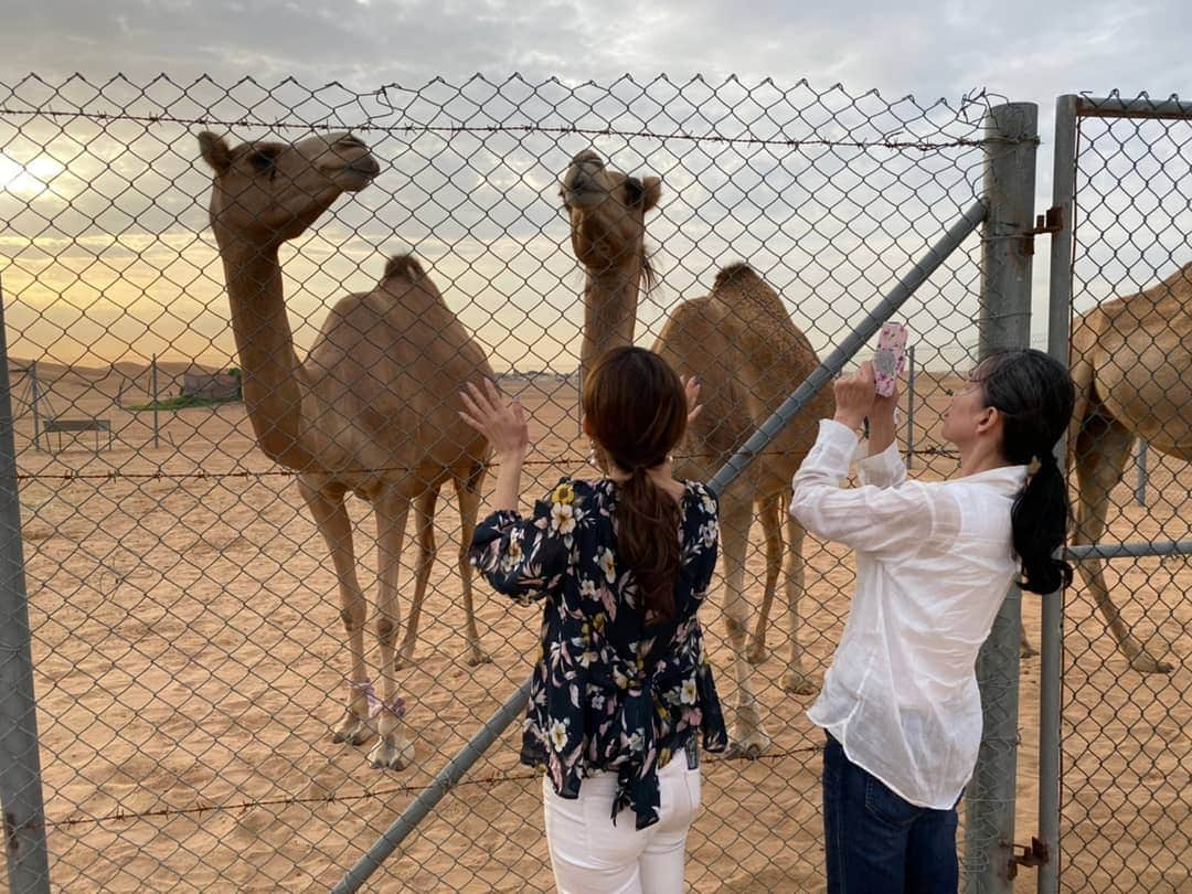 杉山由紀子さんのインスタグラム写真 - (杉山由紀子Instagram)「ドバイの砂漠🌵🐪 * 本当に最高だったひとつ💛 * 自然の力はすごい。 高層の建物ももちろん感動でしたが、自然のパワーはそれ以上だとおもう✨ * 親子で好きなものは似てるみたい🤭 * ふたりのはっちゃけぶりが凄い‼️笑 * * こういう親孝行はなかなか出来ないからこそもっと増やしたいとおもう。 * * #親孝行 #できるうちに #楽しすぎる時間 #全て加工なし  #ドバイ #ドバイLAS #dubai #砂漠 #デザートサファリ #🐪」1月14日 8時45分 - yukikosugiyama